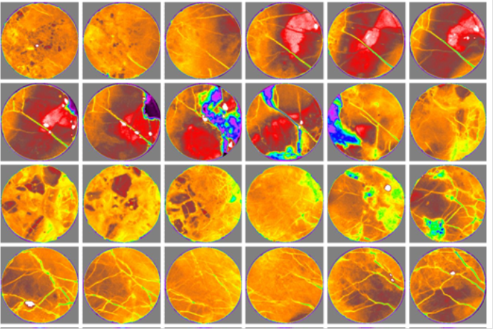 Carbonate Core CT Scan Axial Images