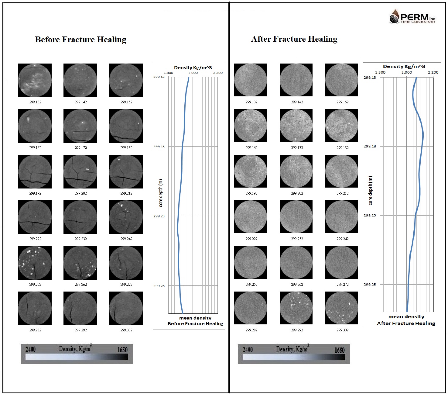 CT Scan of Core in Coreholder at Pressure to verify Fracture Healing