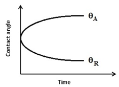 Dynamic Contact Angle Behavior