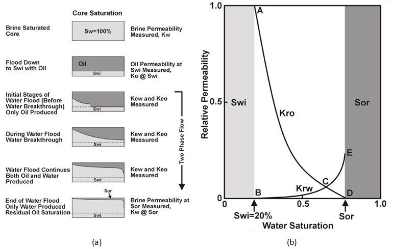 (a) Unsteady State Water Flood Proceudre, (b) Typical Relative Permeability Curve
