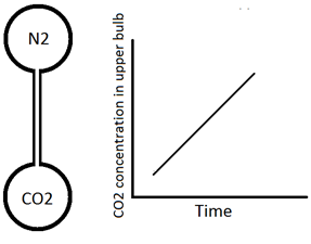 A new macro-scale volume averaged transport model for diffusive