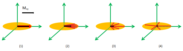 De-Phasing (Loss of Phase Coherence) During T2