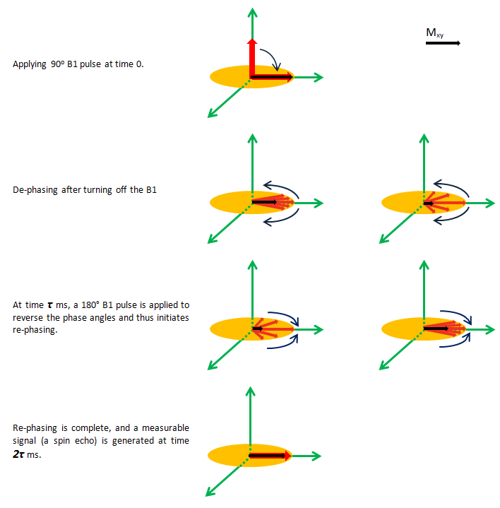 Spin-Echo Sequence