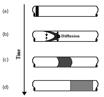 Development of the Mixing Zone as a Function of Time During Laminar Flow in a Capillary (After Nunge and Gill, 1970)