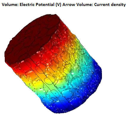 Digital Core Analysis on a Plug